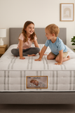 WINCHESTER MATTRESS